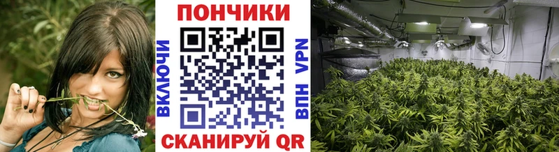 Купить закладку СОЛЬ  Меф мяу мяу  Амфетамин  Cocaine  ГАШ  Россошь