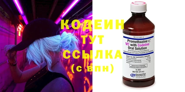 ECSTASY Алзамай