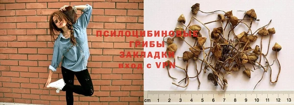 ECSTASY Алзамай